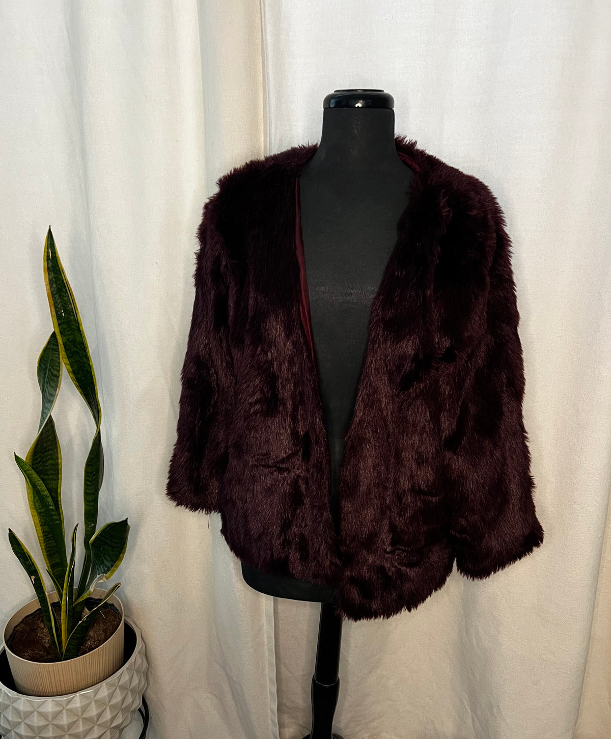 Purple Coat